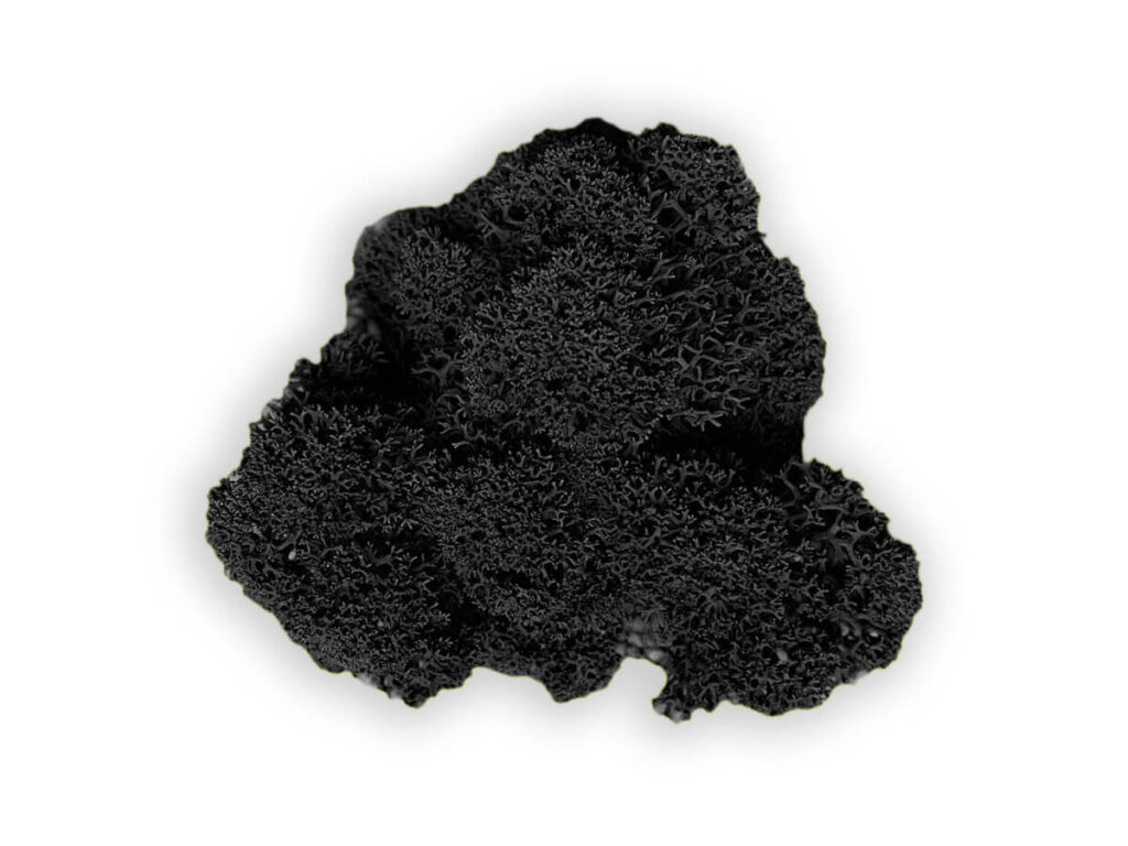 liquen color black