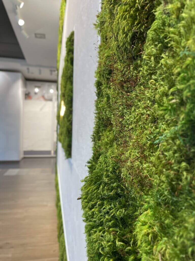 basic-green-mood-09 basic green mood