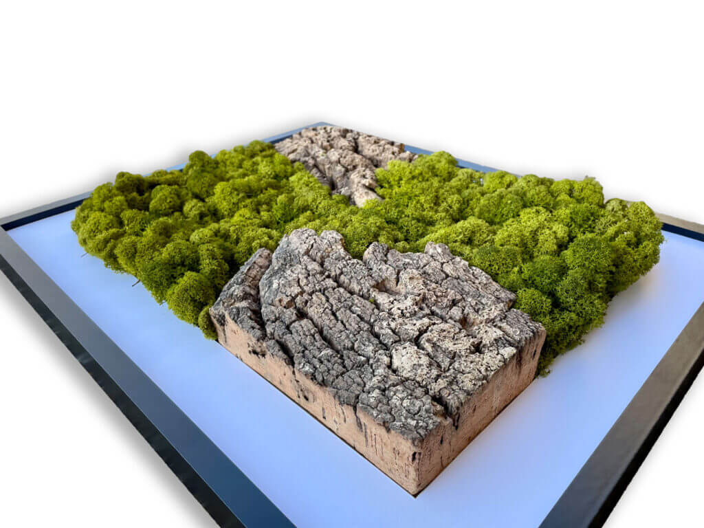 collection cuadros vegetales Cork&Lichen