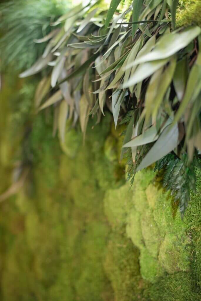 green and plants