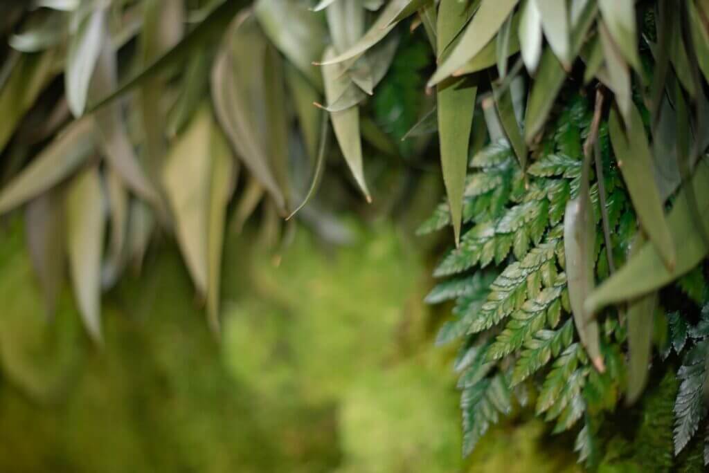 green and plants