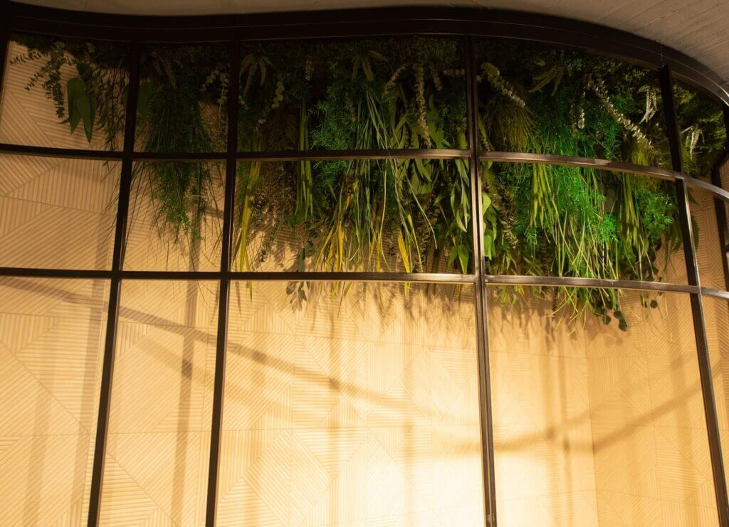 green and plants