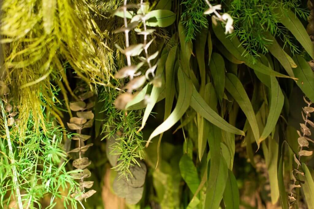 green and plants
