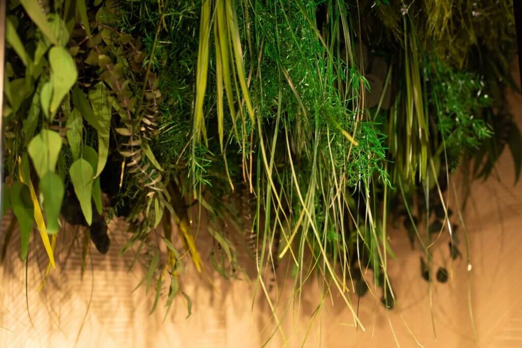 green and plants