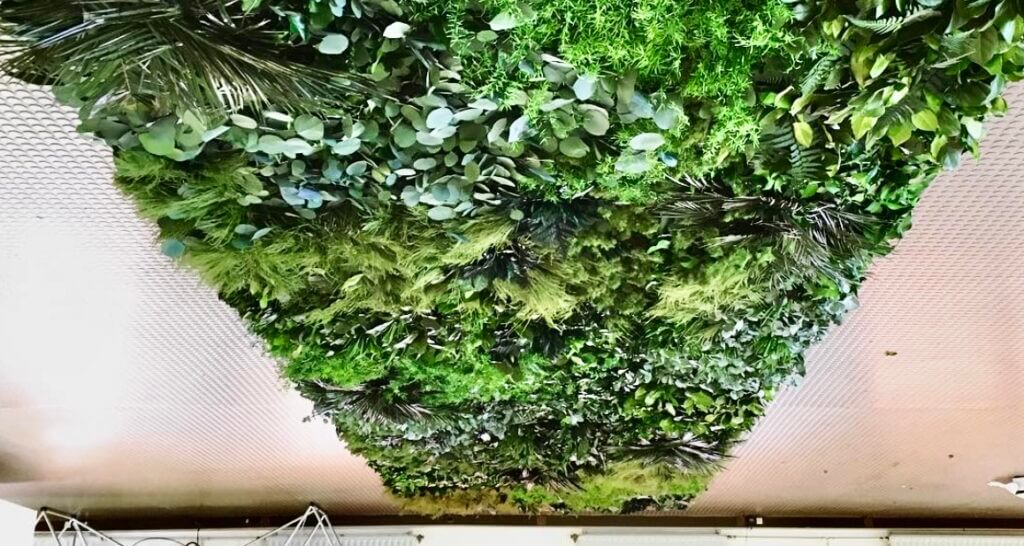 green and plants