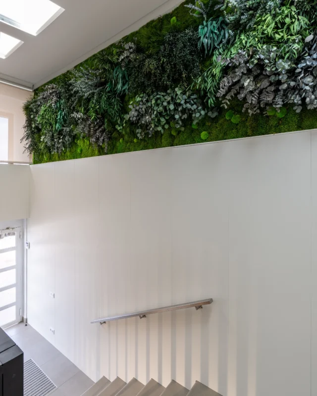 🌿 𝗨𝗻𝗮 𝗲𝗻𝘁𝗿𝗮𝗱𝗮 𝗾𝘂𝗲 𝗶𝗻𝘀𝗽𝗶𝗿𝗮.

Transformamos este espacio de paso en una bienvenida con personalidad. El jardín vertical acompaña la luz natural y convierte cada escalón en una experiencia más agradable.
Y lo mejor: sin mantenimiento, sin riego, sin preocupaciones.

💚 Naturaleza siempre presente.

🌐 www.greenesfera.com
📩 info@greenesfera.com
📞 678 83 48 28

#Greenesfera #greenwalls #walldecor #biofilia #biophilia #biophilicdesign #wellbeing #bienestar #contract #verticalgarden #jardinvertical #architecture #interiordesign #biophilicdesigns #naturaldesign #naturaldecor #greendecor #greendesign #design #decor #interiordesign #interiorismo #interiorism #deco #preservedplants