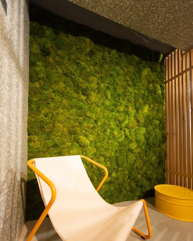 🌼 Tu momento empieza aquí.

Musgo preservado, luz cálida y un rincón para sentarse y desconectar.
Diseñamos este espacio para @porcelanitedos, un lugar que invita a hacer una pausa, respirar y disfrutar del entorno.

🌿 La naturaleza también sabe de calma.

🌐 www.greenesfera.com
📩 info@greenesfera.com
📞 678 83 48 28

#Greenesfera #greenwalls #walldecor #biofilia #biophilia #biophilicdesign #wellbeing #bienestar #contract #verticalgarden #jardinvertical #architecture #interiordesign #biophilicdesigns #naturaldesign #naturaldecor #greendecor #greendesign #design #decor #interiordesign #interiorismo #interiorism #deco #preservedplants