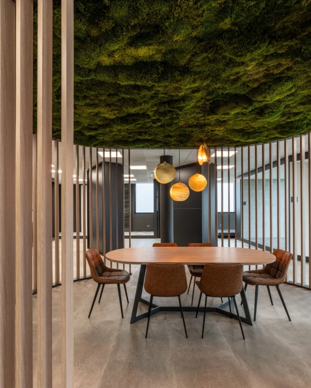 🔝 𝗠𝗶𝗿𝗮𝗿 𝗵𝗮𝗰𝗶𝗮 𝗮𝗿𝗿𝗶𝗯𝗮 𝘆 𝗲𝗻𝗰𝗼𝗻𝘁𝗿𝗮𝗿 𝗻𝗮𝘁𝘂𝗿𝗮𝗹𝗲𝘇𝗮.

Este techo cubierto de musgo preservado transforma por completo la atmósfera de esta sala.
Diseñado para aportar calma, frescura y concentración, sin necesidad de mantenimiento.
Una manera diferente de integrar lo natural en el diseño… desde arriba. 🍃

🌐 www.greenesfera.com
📩 info@greenesfera.com
📞 678 83 48 28

#Greenesfera #greenwalls #walldecor #biofilia #biophilia #biophilicdesign #wellbeing #bienestar #contract #verticalgarden #jardinvertical #architecture #interiordesign #biophilicdesigns #naturaldesign #naturaldecor #greendecor #greendesign #design #decor #interiordesign #interiorismo #interiorism #deco #preservedplants #TechoVegetal