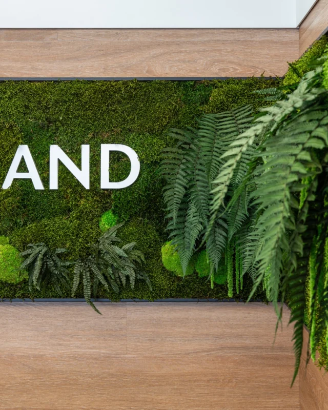 🌱 𝙂𝙧𝙚𝙚𝙣 𝙄𝙙𝙚𝙣𝙩𝙞𝙩𝙮: cuando el branding también respira.

Creamos elementos vegetales integrados en la identidad visual de tu marca.
Logotipos, rótulos o paredes corporativas que se sienten.

🖼️ Porque tu imagen también puede hablar de sostenibilidad, diseño y bienestar.

🌐 www.greenesfera.com
📩 info@greenesfera.com
📞 678 83 48 28

#Greenesfera #greenwalls #walldecor #biofilia #biophilia #biophilicdesign #wellbeing #bienestar #contract #verticalgarden #jardinvertical #architecture #interiordesign #biophilicdesigns #naturaldesign #naturaldecor #greendecor #greendesign #design #decor #interiordesign #interiorismo #interiorism #deco #preservedplants