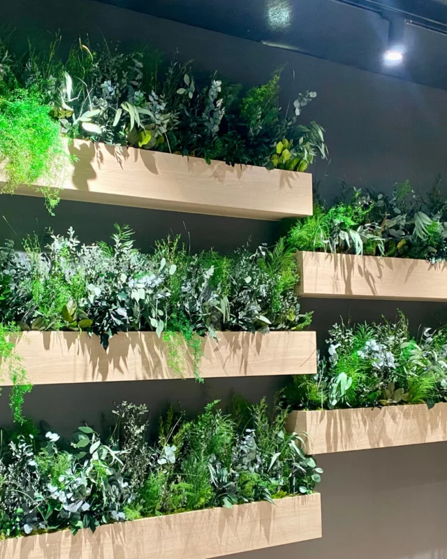🪴 A veces las jardineras se elevan, se expanden y se convierten en piel viva para el espacio.

Esta instalación nace de jardineras verticales cuidadosamente diseñadas para aportar textura, frescura y un impacto visual envolvente.🌿

🌐 www.greenesfera.com
📩 info@greenesfera.com
📞 678 83 48 28

#Greenesfera #greenwalls #walldecor #biofilia #biophilia #biophilicdesign #wellbeing #bienestar #contract #verticalgarden #jardinvertical #architecture #interiordesign #biophilicdesigns #naturaldesign #naturaldecor #greendecor #greendesign #design #decor #interiordesign #interiorismo #interiorism #deco #preservedplants