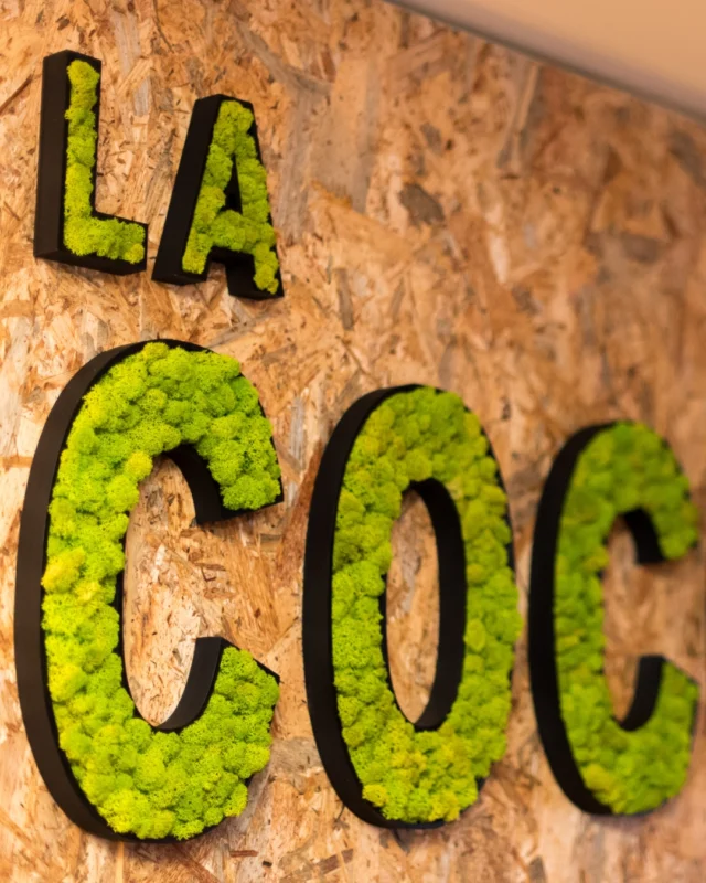 Las palabras también pueden florecer. 🪴

Esta intervención vegetal da vida a un espacio joven, creativo y lleno de energía.
Porque lo natural no solo decora, también comunica.

🌐 www.greenesfera.com
📩 info@greenesfera.com
📞 678 83 48 28

#Greenesfera #greenwalls #walldecor #biofilia #biophilia #biophilicdesign #wellbeing #bienestar #contract #verticalgarden #jardinvertical #architecture #interiordesign #biophilicdesigns #naturaldesign #naturaldecor #greendecor #greendesign #design #decor #interiordesign #interiorismo #interiorism #deco #preservedplants