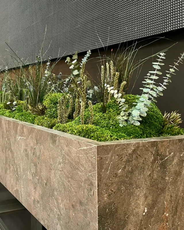 No todo tiene que ir a lo grande: a veces, una jardinera bien integrada lo cambia todo. 🪴

Creamos estructuras vegetales adaptadas al entorno, perfectas para integrar en expositores o showrooms.

➤ La combinación de materiales nobles y vegetación preservada aporta calidez, sin perder el foco en el diseño y la funcionalidad.

🌐 www.greenesfera.com
📩 info@greenesfera.com
📞 678 83 48 28

#Greenesfera #greenwalls #walldecor #biofilia #biophilia #biophilicdesign #wellbeing #bienestar #contract #verticalgarden #jardinvertical #architecture #interiordesign #biophilicdesigns #naturaldesign #naturaldecor #greendecor #greendesign #design #decor #interiordesign #interiorismo #interiorism #deco #preservedplants