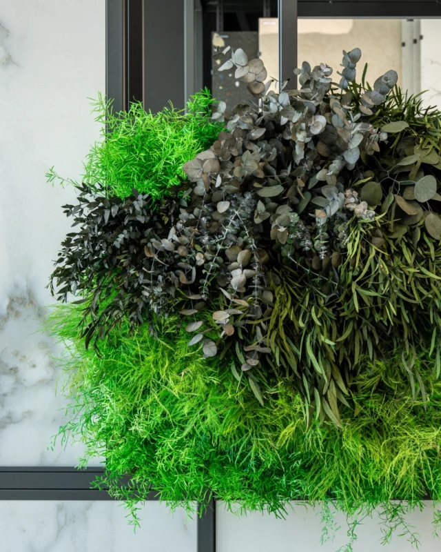 Enmarcar la vegetación como si fuera una obra de arte. ✨

🌳 Esta estructura metálica modular acoge una composición botánica que rompe con la geometría del entorno y crea un punto de contraste fresco y natural.

Ideal para aportar dinamismo y profundidad a cualquier espacio interior.

🌐 www.greenesfera.com
📩 info@greenesfera.com
📞 678 83 48 28

#Greenesfera #greenwalls #walldecor #biofilia #biophilia #biophilicdesign #wellbeing #bienestar #contract #verticalgarden #jardinvertical #architecture #interiordesign #biophilicdesigns #naturaldesign #naturaldecor #greendecor #greendesign #design #decor #interiordesign #interiorismo #interiorism #deco #preservedplants