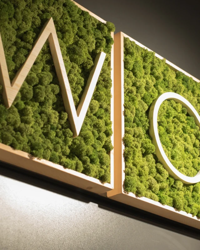 🍃 En Greenesfera diseñamos piezas que transforman espacios en experiencias memorables, como este logo enmarcado en de musgo preservado que capta todas las miradas desde el primer segundo.

¿El objetivo? Hacer que todo el que entre diga lo mismo: WOW. 💚

🌐 www.greenesfera.com
📩 info@greenesfera.com
📞 678 83 48 28

#Greenesfera #greenwalls #walldecor #biofilia #biophilia #biophilicdesign #wellbeing #bienestar #contract #verticalgarden #jardinvertical #architecture #interiordesign #biophilicdesigns #naturaldesign #naturaldecor #greendecor #greendesign #design #decor #interiordesign #interiorismo #interiorism #deco #preservedplants