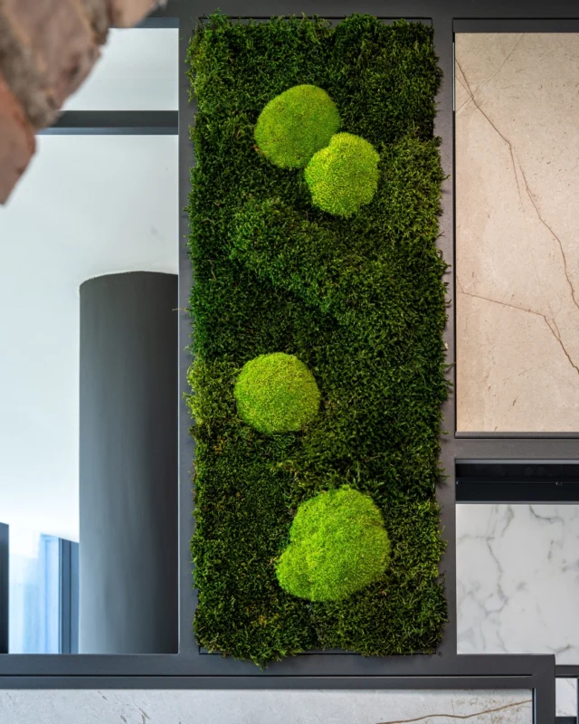A veces, menos es más. ✨

El musgo plano y las esferas preservadas aportan una estética serena y equilibrada, perfecta para zonas de paso, recibidores o espacios de trabajo que buscan naturalidad sin saturación visual. 🌿 Una solución sencilla que transforma por completo la percepción del entorno.

🌐 www.greenesfera.com
📩 info@greenesfera.com
📞 678 83 48 28

#Greenesfera #greenwalls #walldecor #biofilia #biophilia #biophilicdesign #wellbeing #bienestar #contract #verticalgarden #jardinvertical #architecture #interiordesign #biophilicdesigns #naturaldesign #naturaldecor #greendecor #greendesign #design #decor #interiordesign #interiorismo #interiorism #deco #preservedplants