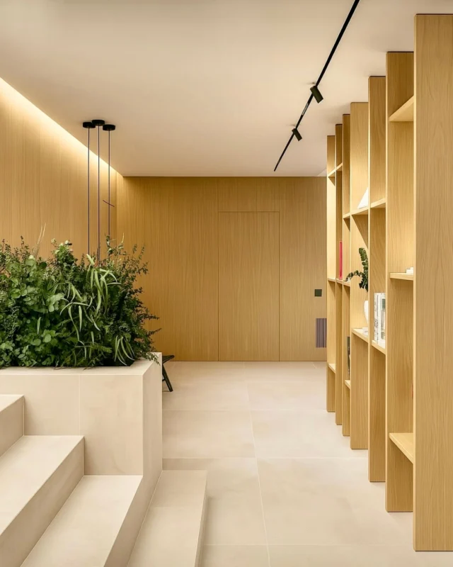 Una jardinera integrada en el diseño, pensada para acompañar la estética cálida y limpia del espacio. ✨

✅ Naturaleza que se adapta a la arquitectura, aportando frescura, volumen y un toque sereno.

🪴 Proyecto para las oficinas de @eloicamacho_arq
📷 Foto: @eloicamacho_arq
🌐 www.greenesfera.com
📩 info@greenesfera.com
📞 678 83 48 28

#Greenesfera #greenwalls #walldecor #biofilia #biophilia #biophilicdesign #wellbeing #bienestar #contract #verticalgarden #jardinvertical #architecture #interiordesign #biophilicdesigns #naturaldesign #naturaldecor #greendecor #greendesign #design #decor #interiordesign #interiorismo #interiorism #deco #preservedplants